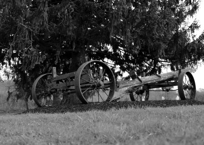 49. Classic Black and White