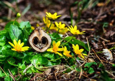 17. Love Is In The Air at Playwicki Farm