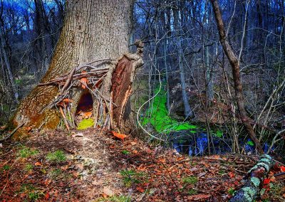 11. Magic is everywhere