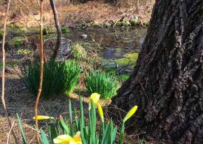 9. Spring on the Farm