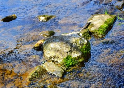 13. Stepping Stones