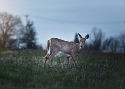 43. Stopping for a snack