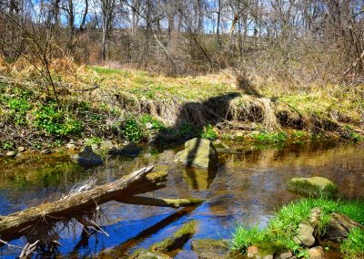 12. Streaming into Spring